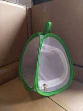 360° Transparent Insect Observation Chamber - Full View Breeding Box for Silkworms, Butterflies, and Small Reptiles