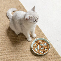 Whisker-Friendly Ceramic Slow Feeder Cat Bowl - Anti-Gulping & Anti-Choking Pet Dish - Heavyweight Non-Slip Ceramic Bowl to Prevent Spillage & Tipping