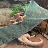 Breathable Mesh Reptile Hammock - Cooling Square Lounger and Climbing Net for Bearded Dragons, Lizards, and Snakes