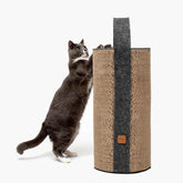 Interactive Carrot Cat Scratching Post with Natural Sisal Fiber and Playful Leaf Teaser for Indoor Cats