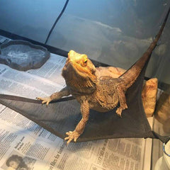 Breathable Mesh Reptile Hammock - Durable Climbing Net and Lounging Swing for Bearded Dragons, Lizards, and Snakes
