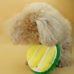 Interactive Durian Snuffle Toy for Dogs - Squeaky Crinkle Paper Nosework Toy - Mental Stimulation & Foraging Treat Dispenser for Puppies & Small Dogs