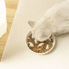 Whisker-Friendly Ceramic Slow Feeder Cat Bowl - Anti-Gulping & Anti-Choking Pet Dish - Heavyweight Non-Slip Ceramic Bowl to Prevent Spillage & Tipping